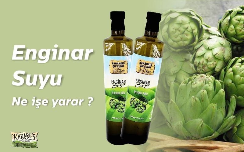 Enginar Suyu Ne İşe Yarar - Faydaları Nelerdir?