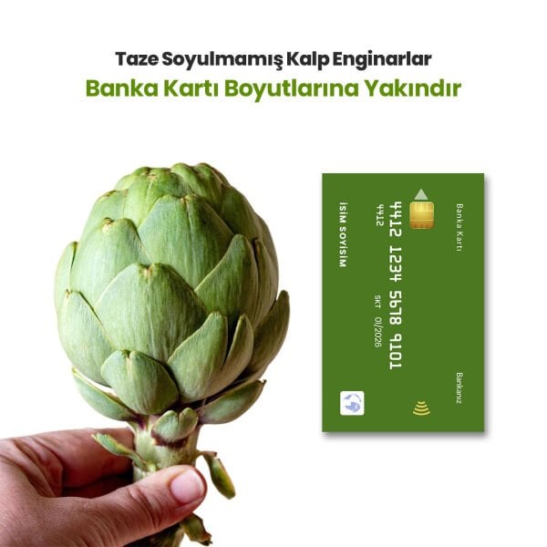 Taze Soyulmamış Kalp Enginar (10 Adet)