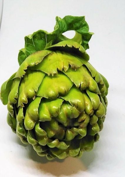 Taze Soyulmamış Enginar 20 Adet